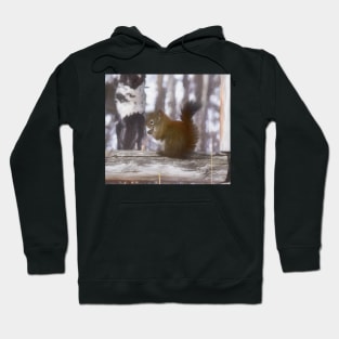 Squirrel on the fence illustration Hoodie